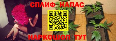 твердый Заводоуковск