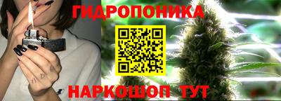 твердый Заводоуковск