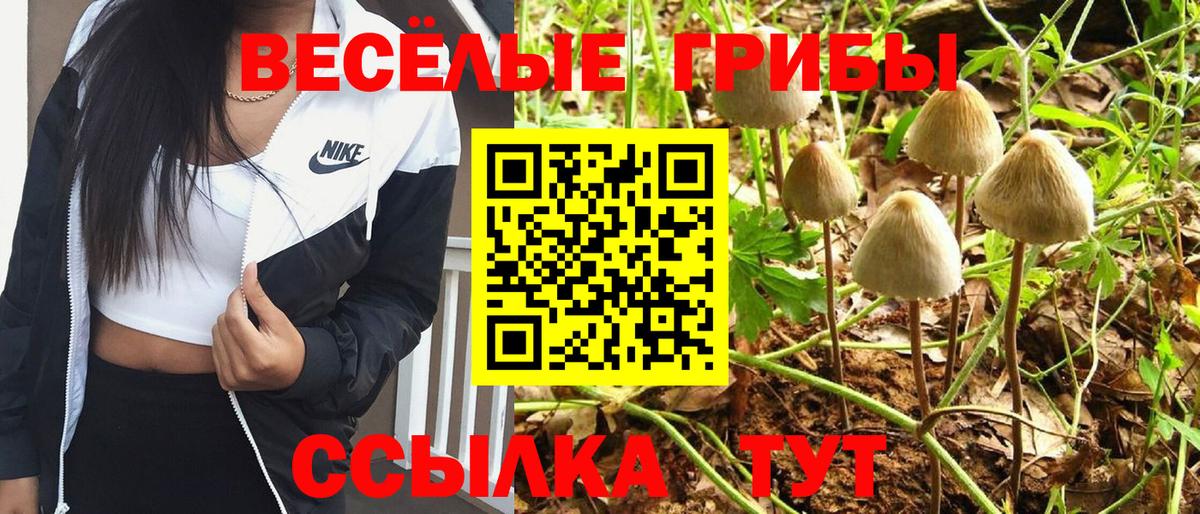 Кызыл  Галлюциногенные грибы Magic Shrooms  Вход с VPN 